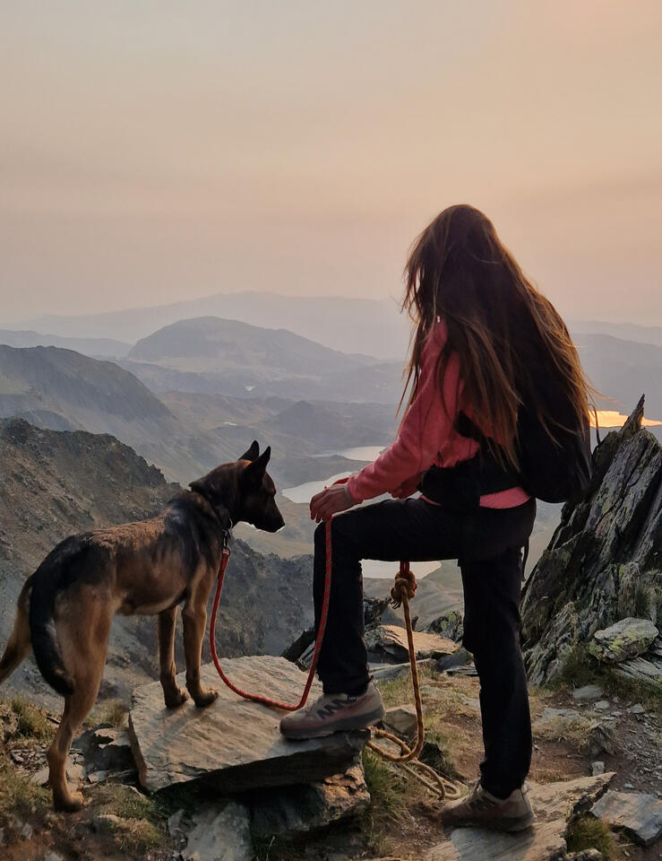 trail chien trail chien